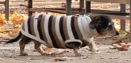 wp-16711141072272127256916630305832