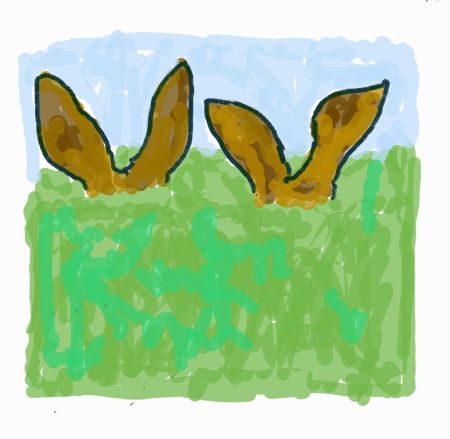 wp-17137751697506980050959741995281