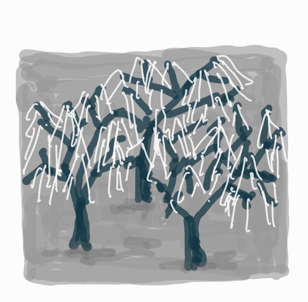 wp-17371987312157175106902896244727